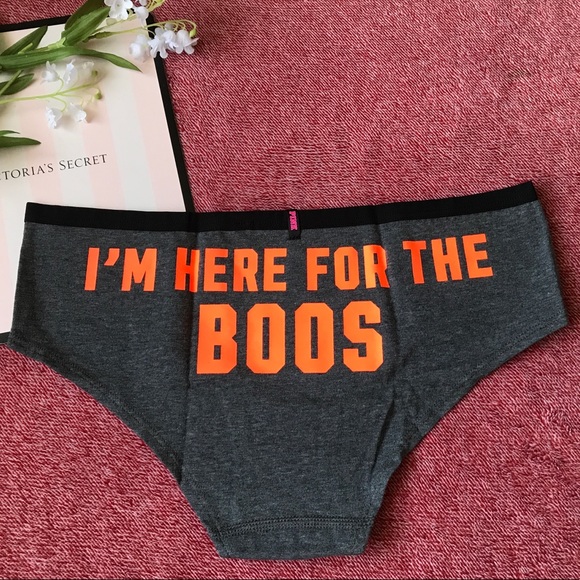 Victoria/'s Secret Pink Halloween I/'m Here For The Boos Gray Hipster Panty M NWT